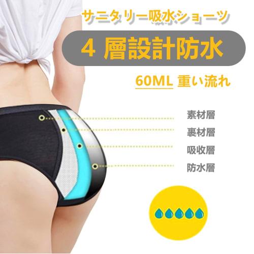 Raiplus Women's Sanitary Panties, Period Panties, Underwear Set, Black, 1 Piece, Medium