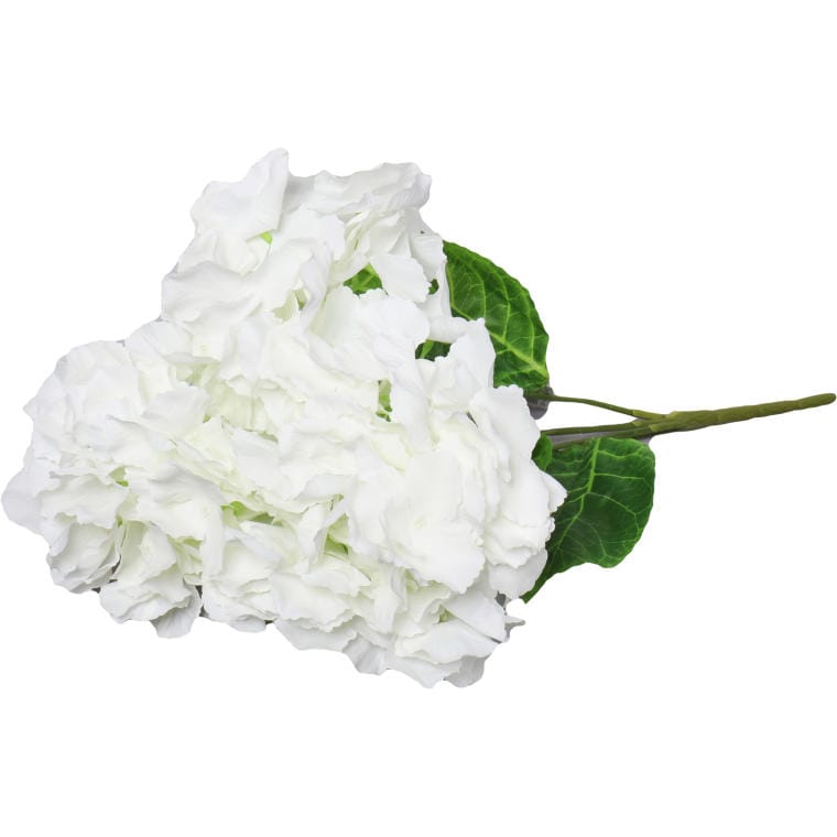 Bouquet of 4 white hydrangeas