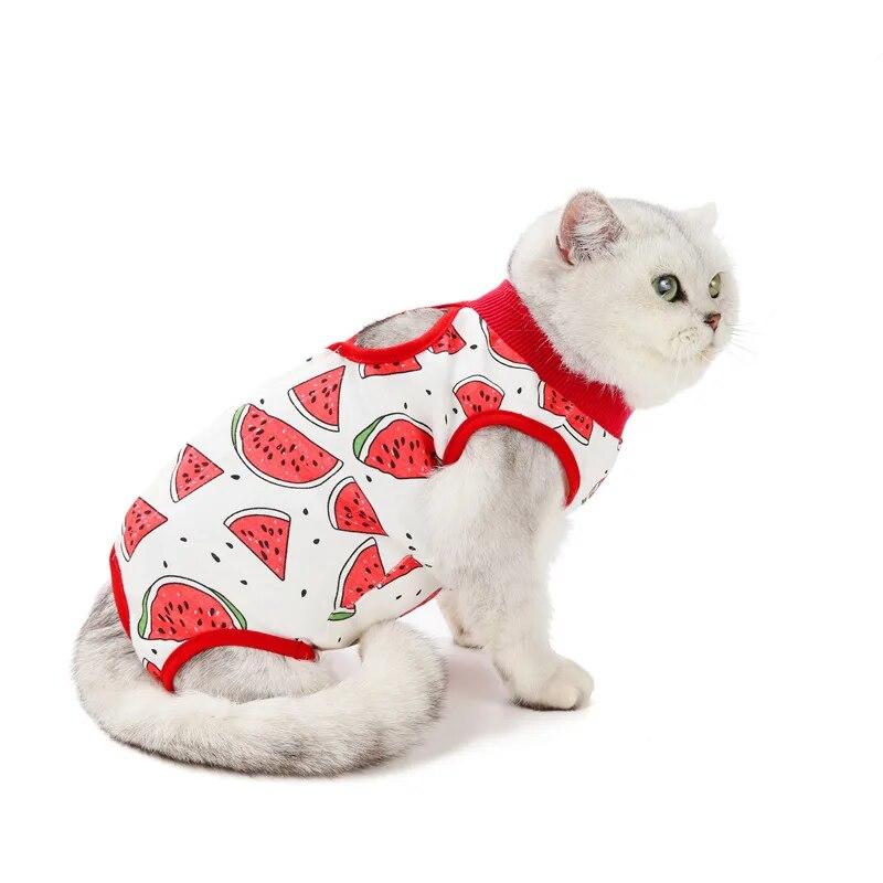 Pet Cat Clothes Spring Summer Cats Sterilization Suit Puppy Breathable Jumpsuits Clothing Recovery Anti Licking Wounds Suits