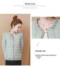 2021 Women's Fresh Style Cotton Jacket - Lightweight, Short Korean Fashion Coat