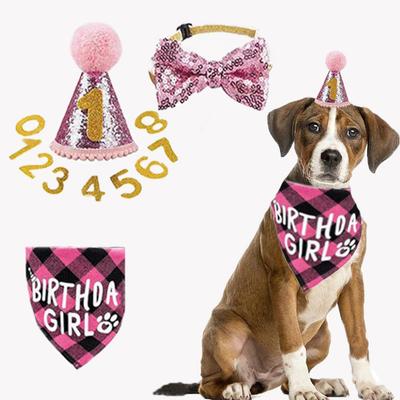 Haustier Hund Geburtstag Bandana Hut Zahlen Set Hund Welpe Geburtstagsparty Zubehör