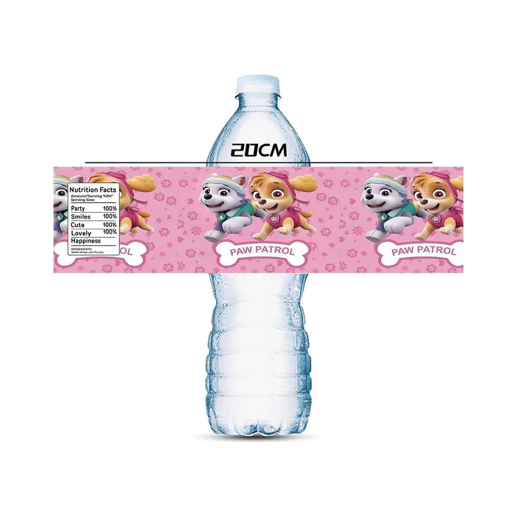 New PAW Patrol & Pikachu Party Cartoon Reusable Water Bottle Stickers