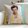 Federa Cuscino Artista Musicale Harry Styles Morbida e Facile da Lavare – Versatile Per Divano, Letto, Viaggio E Ufficio