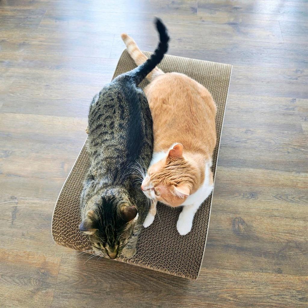 Leon cat scratching post | white 40cm | 78x28x40 cm | MruuPruu