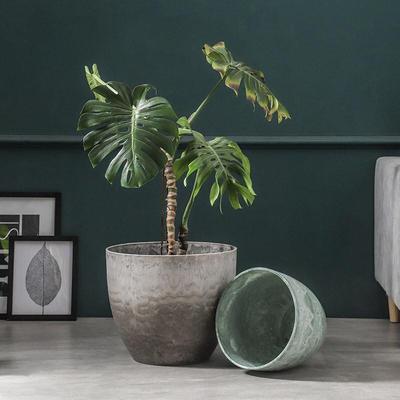 Qiaohao Shiguang Decorative Planters & Vases