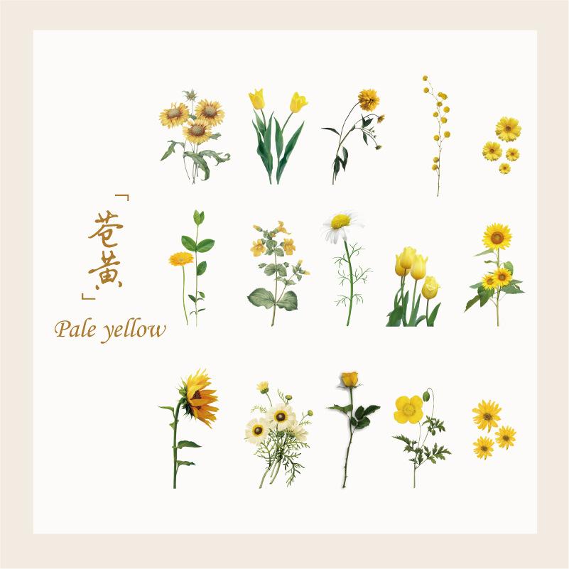 15 pcs Plant and flower PET sticker package Butterfly material sticker hand-decorated hand ledger sticker Junk Journal Supplies