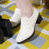 Single Shoes Women's Spring and Autumn New Thick Heel Pointed Small Leather Shoes Side Zipper