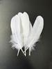 Black White Goose Feather 15-20cm White  Wedding Party Carnival Plume Decoration Jewelry Hats Diy Party Earring  Dress Crafts