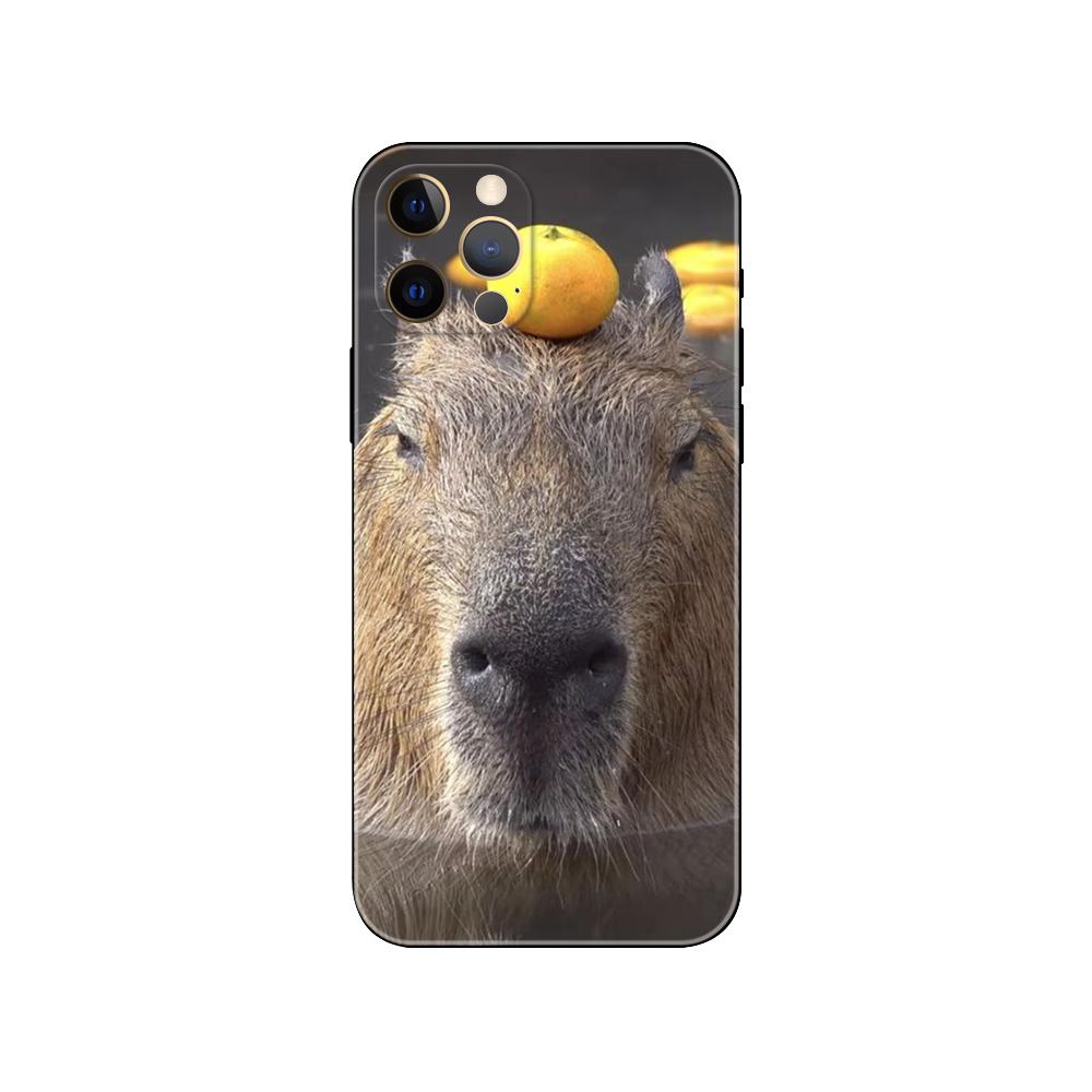 Capybara pouzdro na telefon pro iPhone 5 5s 2020se 6 6s 7 8 plus x 10 XR XS 11 12 13 mini pro MAX černý zadní kryt TPU