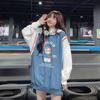 Spring Autumn Sweater Women Fake Two-piece Long-sleeved Hoodie Loose Boyfriend Wind Jacket Casual Thin T-shirt