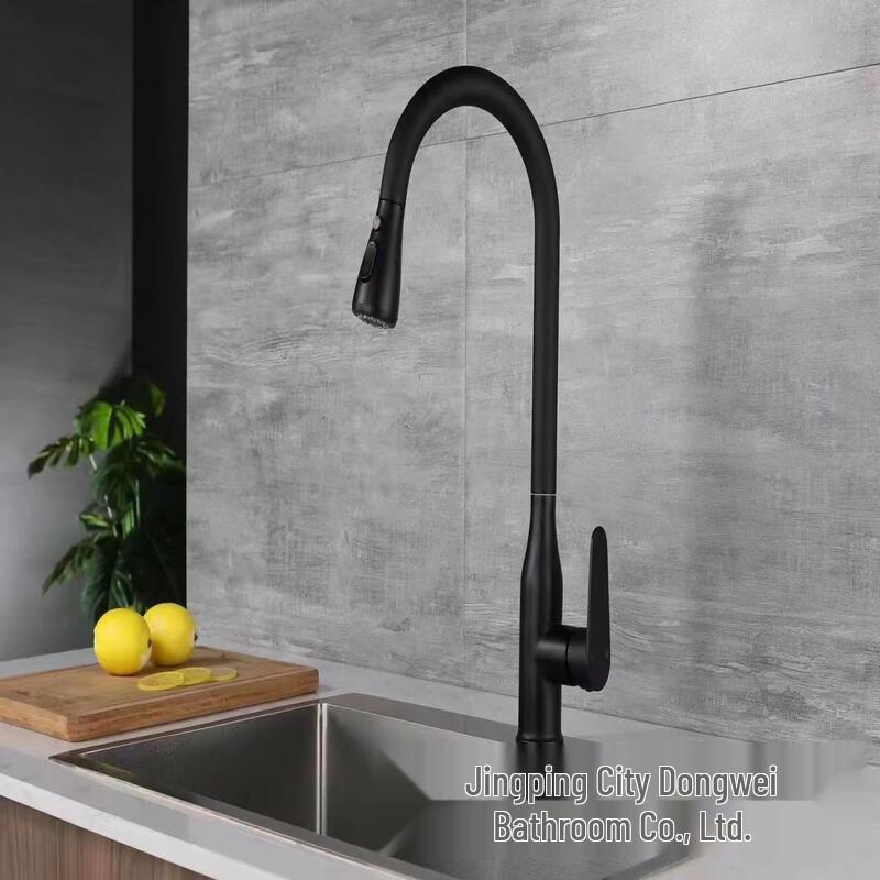 

TLXT Black Stainless Steel Pull-Out Kitchen Faucet