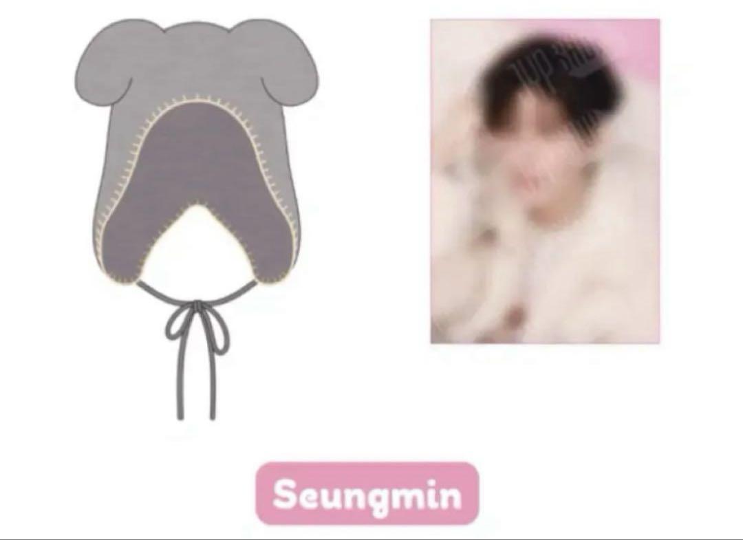 

[Б/У] Шапка Stray Kids Сынмин