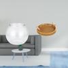 Transparent Woven Small Fish Tank Fruit Basket Ornament Aquarium Bowl Vase Table for Office Home