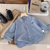 Toddler Boys' Fashionable Autumn Cotton Shirt, Ages 2-3, 2026 Collection