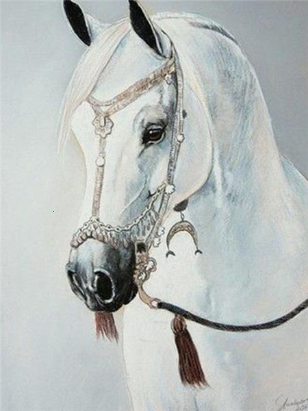 Diamond Art Painting Horse Full Round Embroidery Mosaic Animal Handmade Home Decor