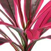 Yousheng Large Realistic Artificial Fern Dragon's Blood Tree Plants with Pink/Purple Leaves, UV Resistant Outdoor Fake Fern Plants for Garden, Patio,