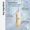 CNP LABORATORY Propolis Treatment Ampule Essence 150ml