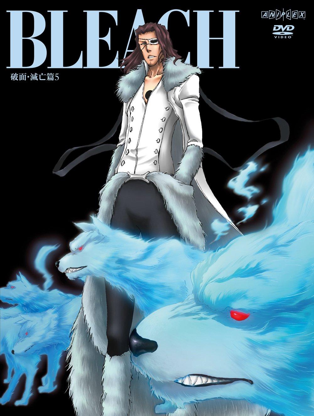 

BLEACH Chapter 5 Hamen/Destruction [DVD]
