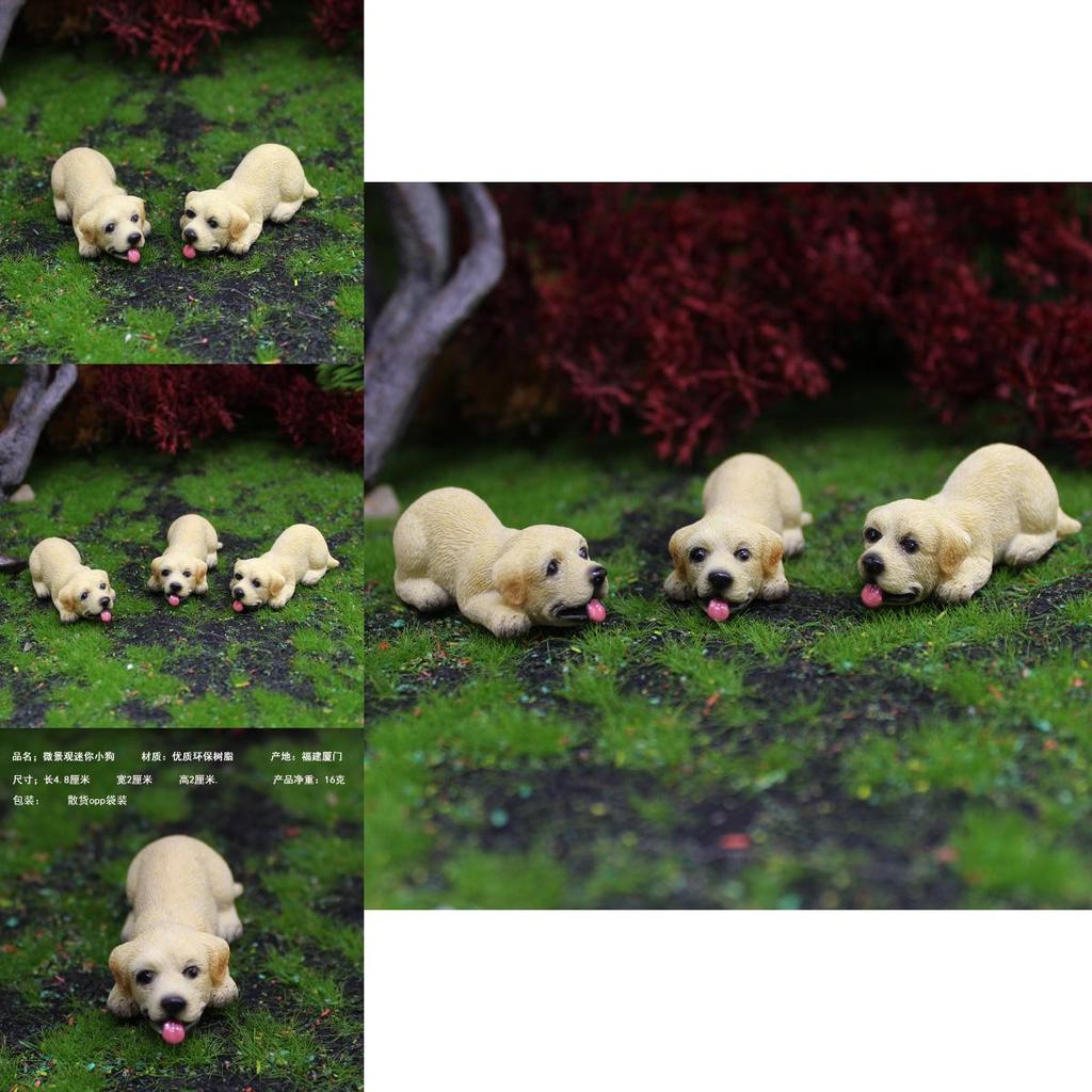 Garden Resin Pet Figurine With Labrador Indoor Decoration Accessories