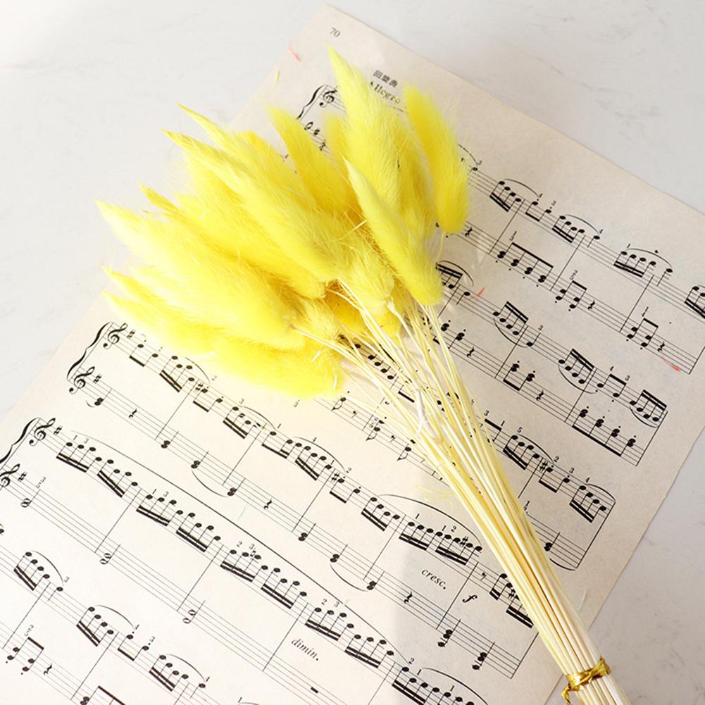 30 ks Barevné Králičí Ocasy Sušené Květiny Literární Styl Květinová Aranžmá Přírodní Kytice Králičích Ocasů Pro Večírek Domácí Dekoraci