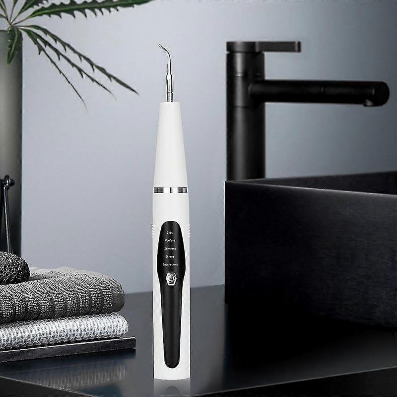 Elektrischer Zahnsteinentferner Zahnreiniger Zahnsteinentferner USB-Aufladung Zahnreinigungsset mit oralem Endoskop Schwarz