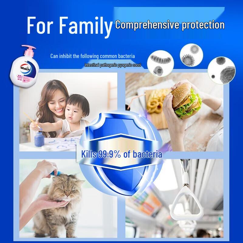 Walch Healthy Antibacterial Hand Soap