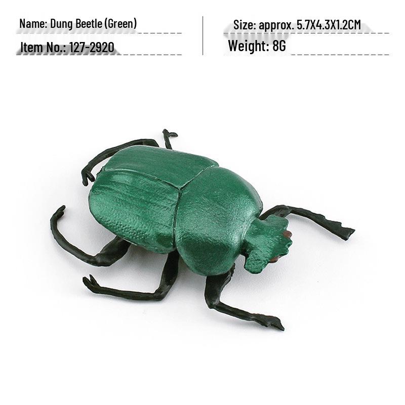 

Трансграничная модель насекомого-дикого животного навозника: Детская когнитивная песочница