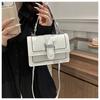 Black White Khaki Blue Brown Korean Style Fashion Handbag 2024 Spring Small Square Bag