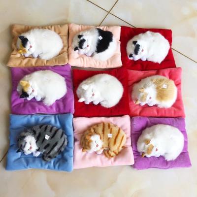 Happy Play Realistico Suono Addormentato Gatto Bambino nel Nido Carbone Attivo