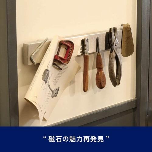 Dulton Stainless Steel Magnetic Tool Holder 25mm, Rediscover the Charm of Magnets, Kitchen Tools, Height 47mm, Width 250mm, Depth 15mm, G655-750-25