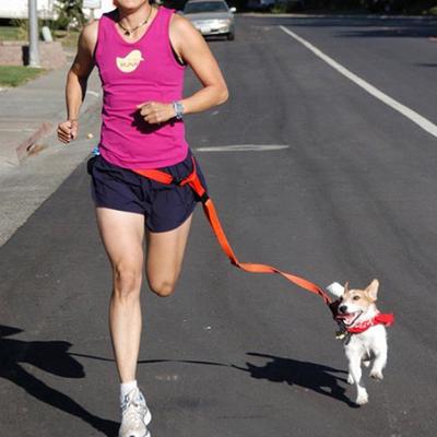 Nylon Dog Leash Training Running Lead Strap Adjustable Traction Collar Rope