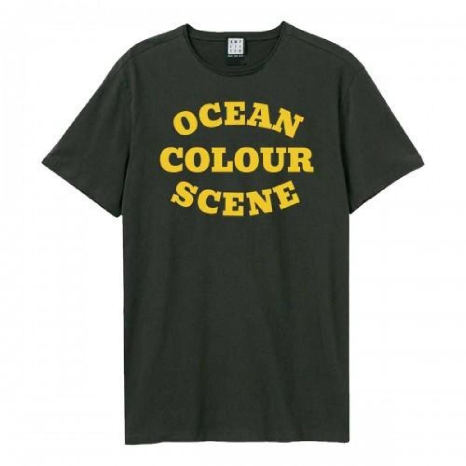 Amplified Unisex Adult Ocean Colour Scene Logo T-Shirt S разноцветный
