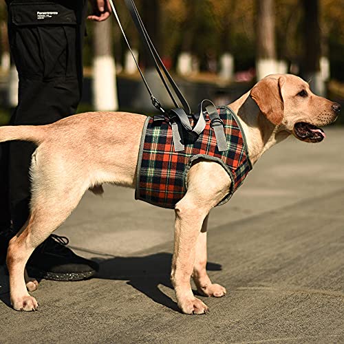POTATO Dog Care Harness, Shoulder-Mounted Dog Harness, Harness for Large Dogs, Perfect for Walking, Adjustable Support Harness, Pet Supplies, Size XL