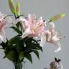 Two Lily Simulation Flower Set Living Room Dining Table Decoration False Flower Art Wedding Travel Photography Props