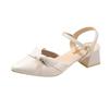 Baotou Sandals Women's Spring 2025 New Lady with Skirt Fairy Wind Medium Heel Thick Heel Pointed Single Shoes High Heel