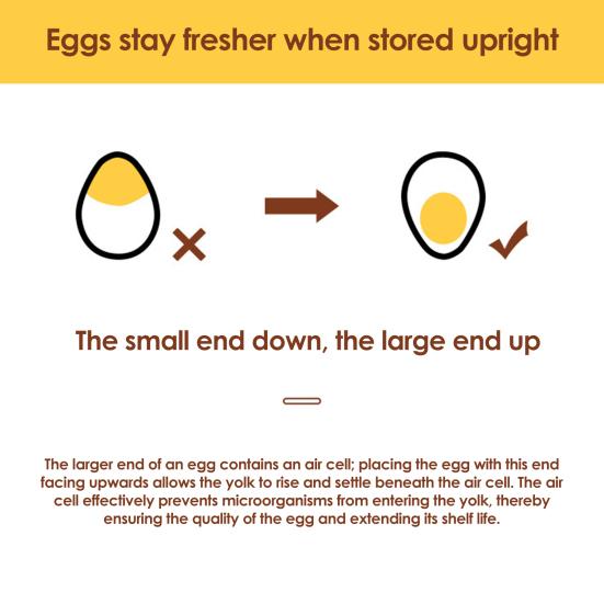 Egg Storage Box Transparent Space Saving Egg Container with Individual Slots Smooth Sliding Drawer Egg Holder for Kitchen Refrigerator