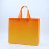 10pcs Coated Non-woven Fabric Bag Clothing Nonwovens Pack Handbag Environmentally Friendly Gift Shopping Packaging Pouch