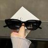 Fashion Hip-hop Small Cat Eye Sunglasses Fashion Women Eyeglasses with Retro Style Shades Glasses