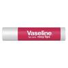 Vaseline Rose Bud Lippenbalsam Duo & Bodylotion Set