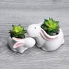 2Pcs Cartoon Bunny Shape Ceramic Succulent Plant Pot White Mini and Medium for Home Decor Durable Practical Gift