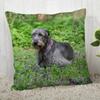 Irish Wolfhound Pillowcase Modern Home Bedroom Living Room Sofa Cushion Cover 45X45Cm Peach Skin Pillowcase