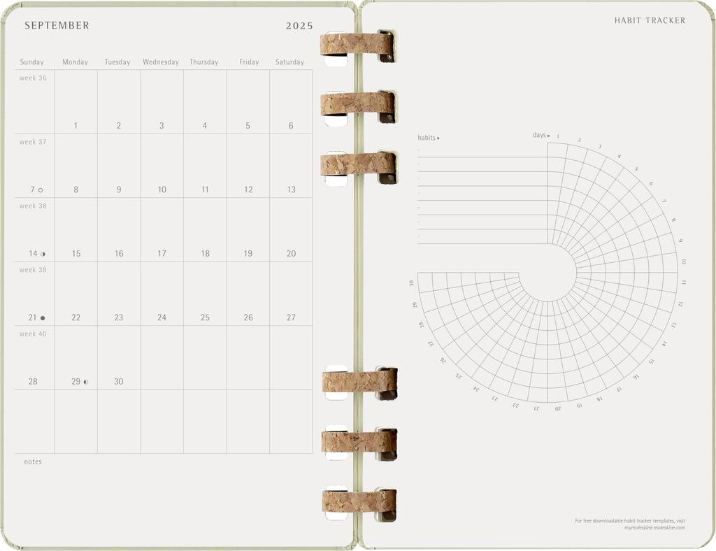 Moleskine 2026 Januar Spiral Akademisch Großformat x DHSPP2912MWH3Y26 Planer, Start, 12-Monats-Tagebuch, (13cm 21cm), Mandel,