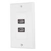 Dual Port USB2.0 Wall Plate Panel for Home Office Building Hotel Decoration
