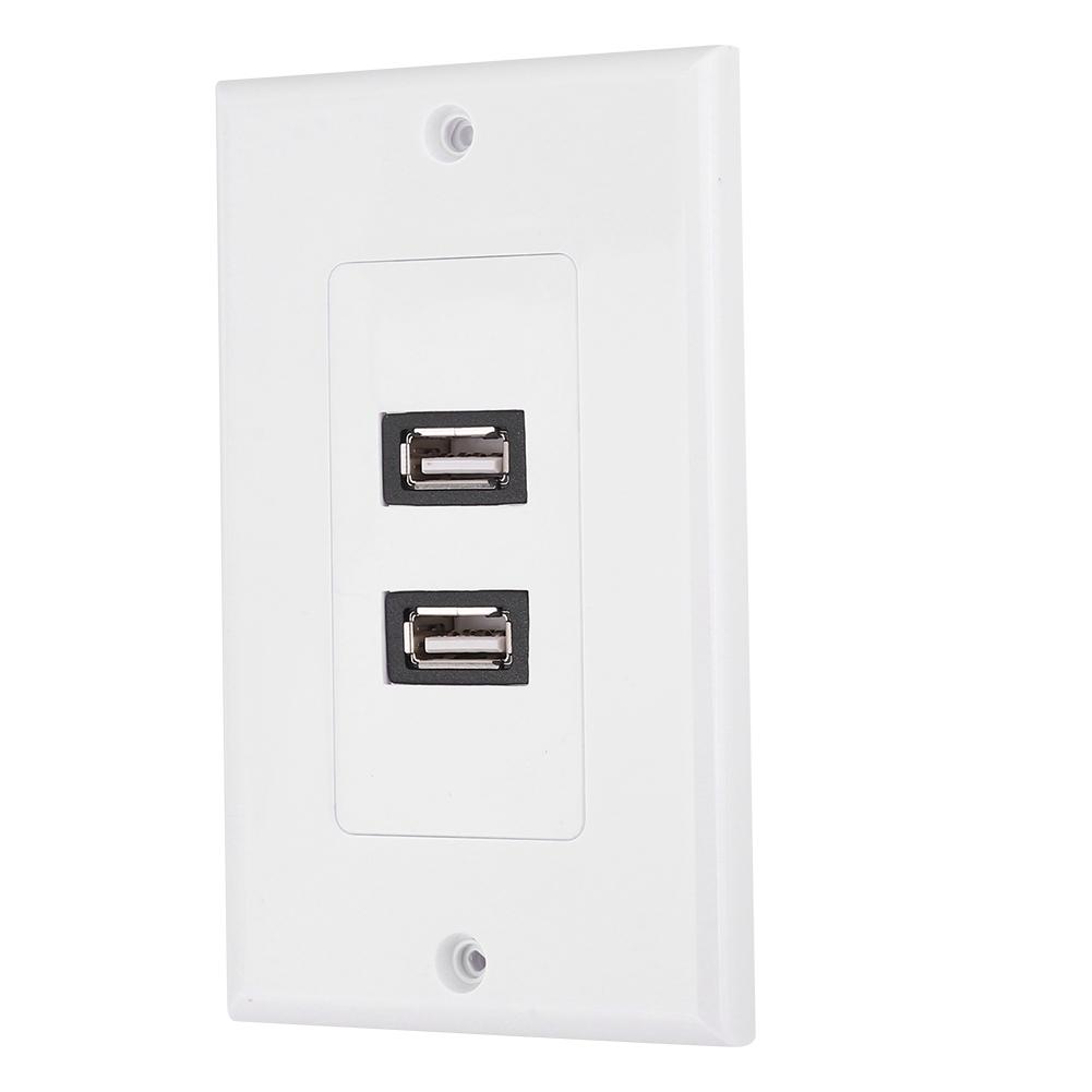 Dual Port USB2.0 Wall Plate Panel for Home Office Building Hotel Decoration