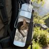 1PC Cat Curled In Pillow 750ml Color Plastic Sports Water Bottle Leakproof Flip Straw Lid Suitable for Sports Office Home Use