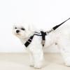 Foreverybari Harness (black)