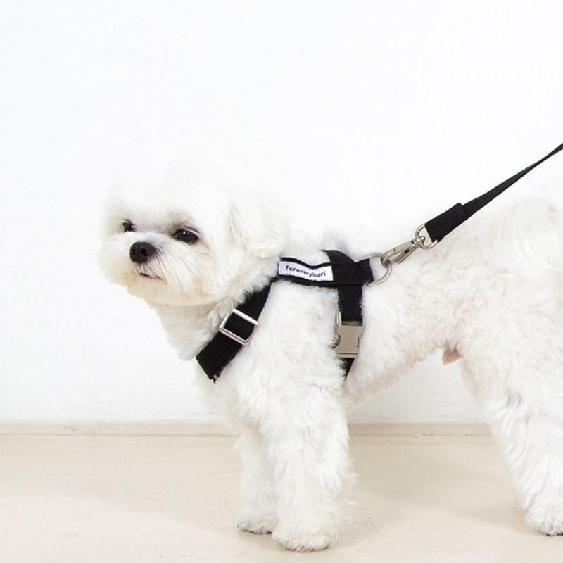 Foreverybari Harness (black)