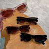 Cat Eye Sunglasses Men Women Fashion Irregular Gradient Eyewear Stylish Glamour Female Sun Glasses Trend Cat Eye Shades