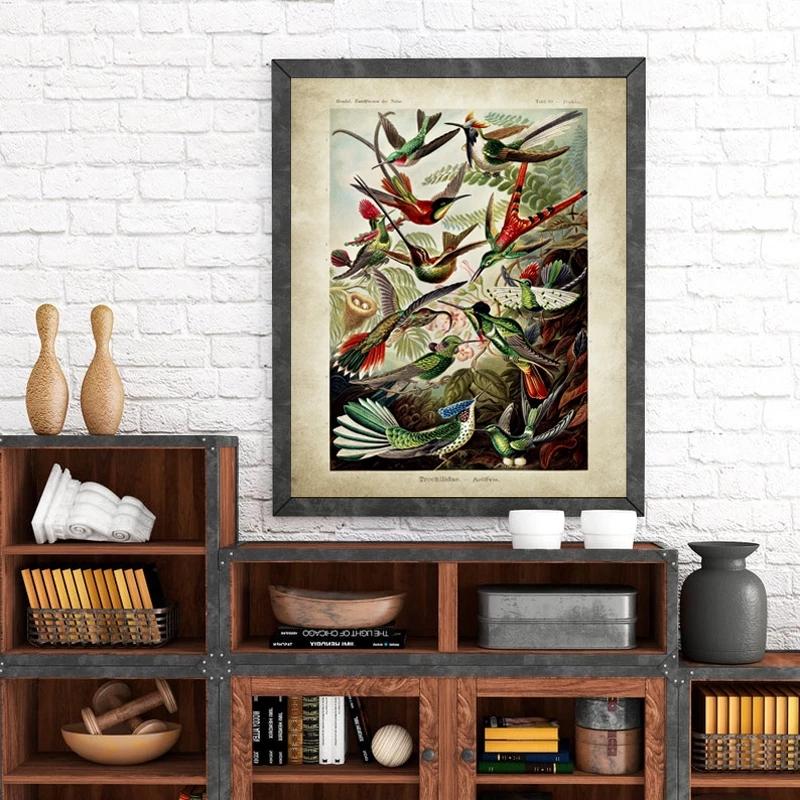 Vintage Ernst Haeckel Biology Poster Hummingbird Palm Tree Botanical Wall Art Prints Plant Canvas Painting Office Home Decor