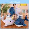 Bodied Marine Soft Animal Whale Plush Toy Cartoon Children Holiday Doll Gift